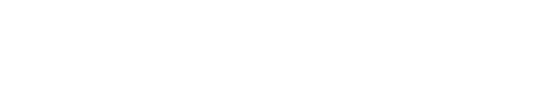 Hoop Fury Logo